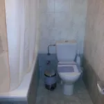 Pelican מלון 3*